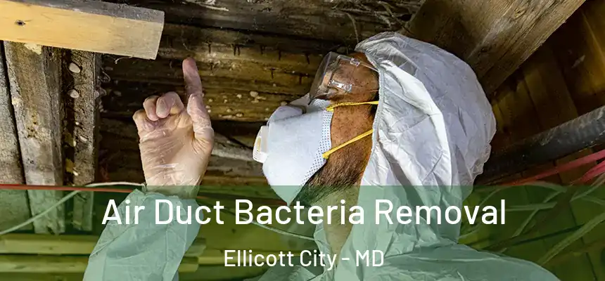 Air Duct Bacteria Removal Ellicott City - MD