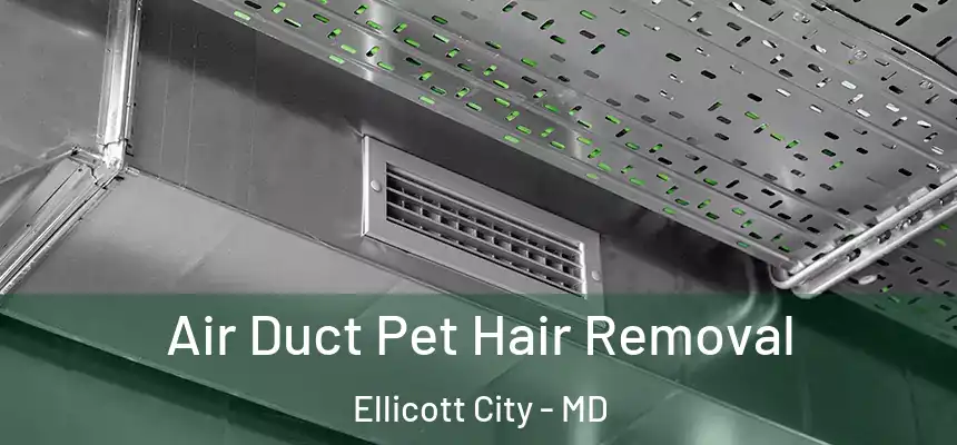 Air Duct Pet Hair Removal Ellicott City - MD