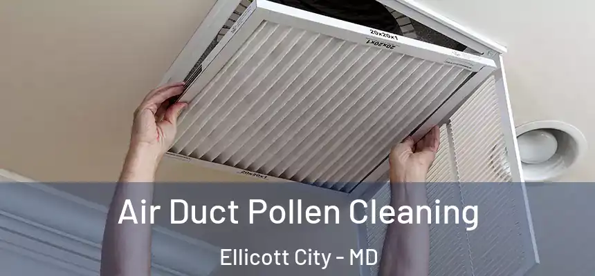 Air Duct Pollen Cleaning Ellicott City - MD