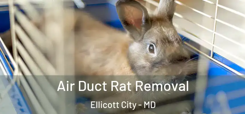 Air Duct Rat Removal Ellicott City - MD