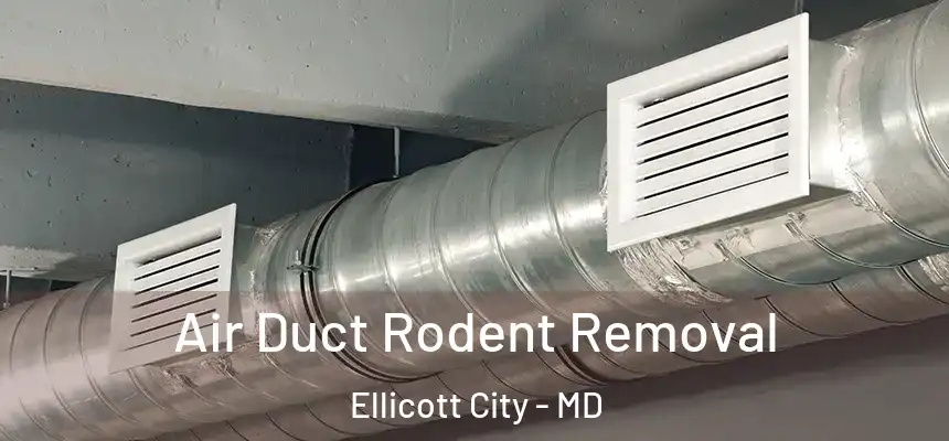 Air Duct Rodent Removal Ellicott City - MD