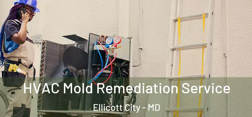  HVAC Mold Remediation Service Ellicott City - MD