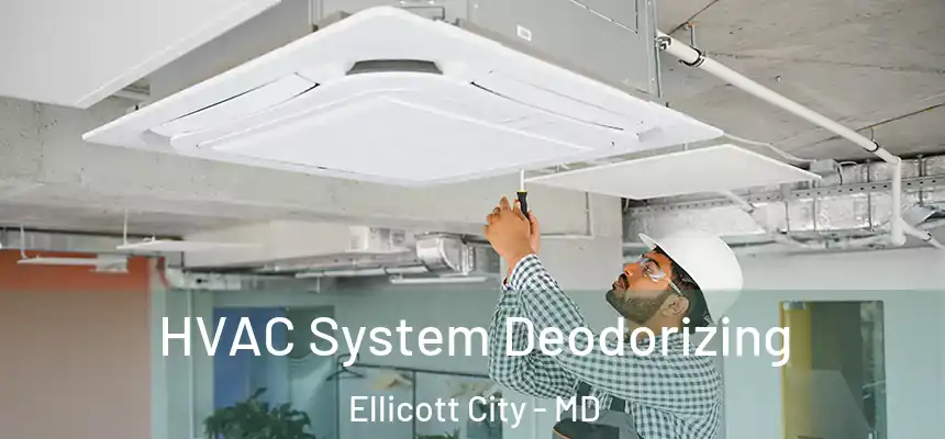  HVAC System Deodorizing Ellicott City - MD