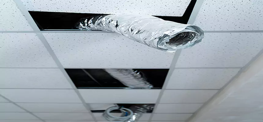 Affordable HVAC Sanitizing After Pest Removal in Ellicott City