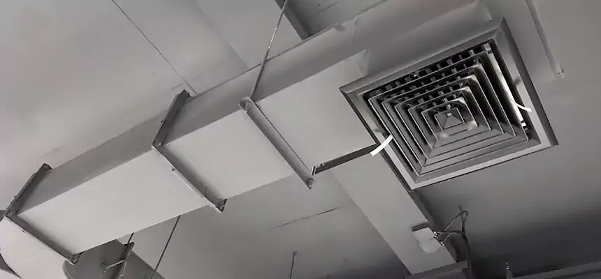 Restorative Allergy Relief Vent Cleaning – Coil, Blower & Housing Detail in Ellicott City