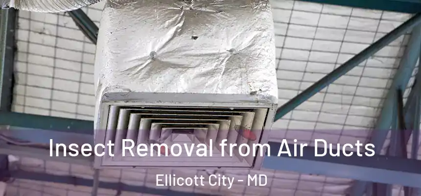 Insect Removal from Air Ducts Ellicott City - MD
