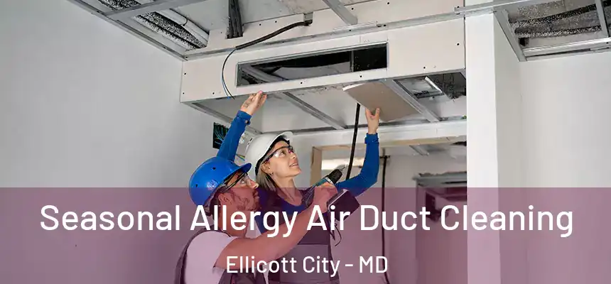 Seasonal Allergy Air Duct Cleaning Ellicott City - MD