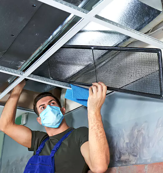 Professional Air Duct Pollen Cleaning in Ellicott City, MD