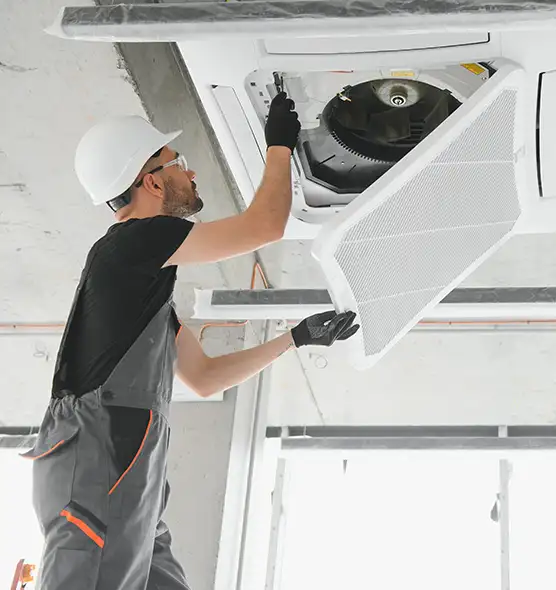 About Air Duct Rodent Removal in Ellicott City, MD