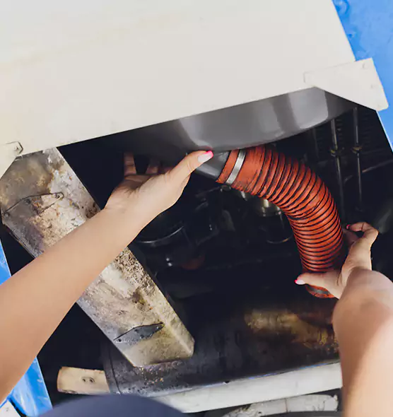 About Air Duct Virus Disinfection in Ellicott City, MD