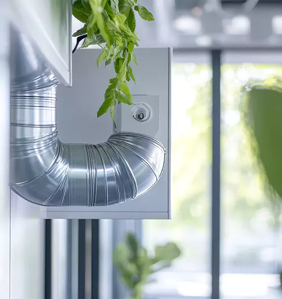 Professional Eco-Safe Dryer Vent Cleaning in Ellicott City, MD