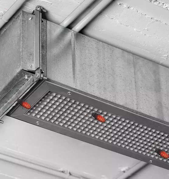 Affordable Insect Removal from Air Ducts in Ellicott City, MD