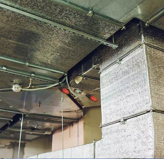 Why Homeowners & Businesses Trust Us in Ellicott City, MD?