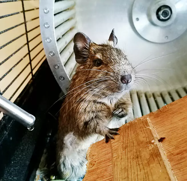 Why Homeowners & Businesses Trust Us Ellicott City, MD