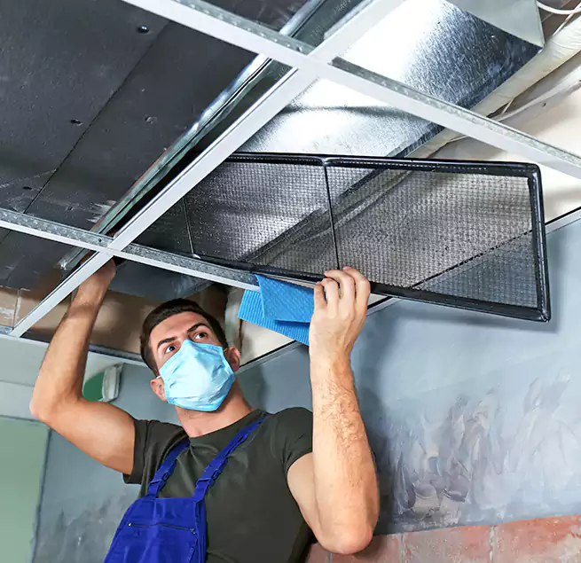 Why Homeowners Businesses Trust Us in Ellicott City, MD