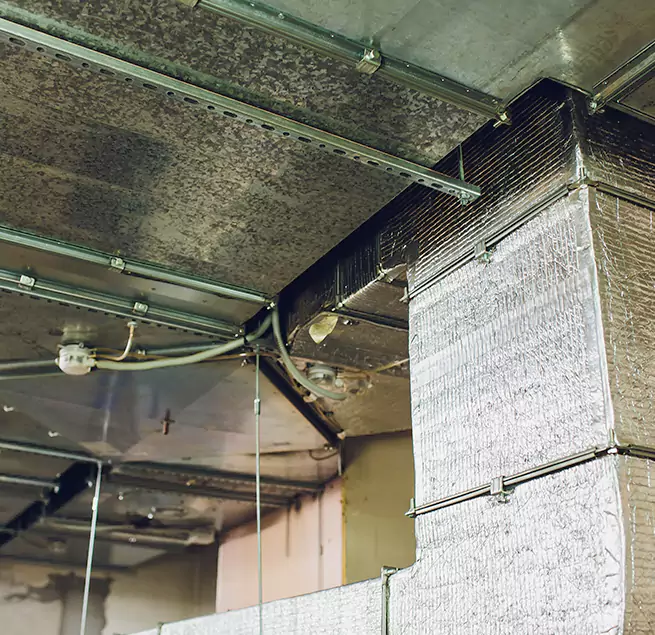 Why Homeowners & Businesses Trust Us in Ellicott City, MD?